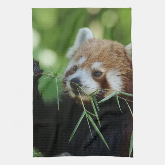 Paño De Cocina RedPanda 002 (Vertical)