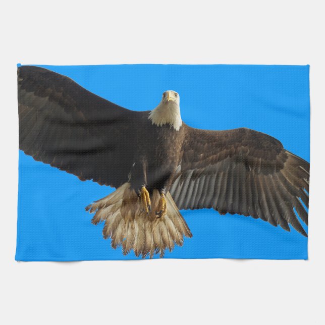 Paño De Cocina Regalo de vida silvestre del águila calva (Horizontal)