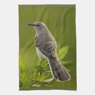 Paño De Cocina Regalos de los amantes de las aves de Mockingbird