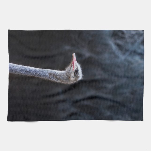 Paño De Cocina retrato de avestruz (Horizontal)