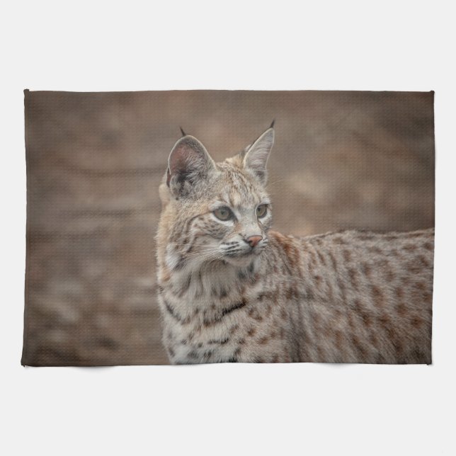 Paño De Cocina Retrato de una Bobcat (Horizontal)