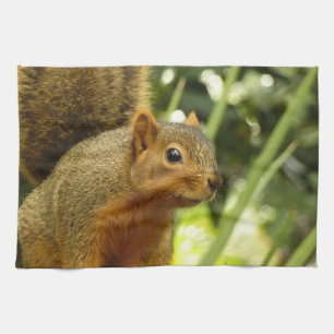 Paño De Cocina Retrato de una fotografía animal de la naturaleza 