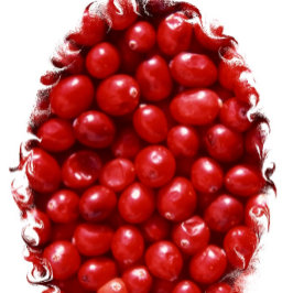 Paño De Cocina Rojo