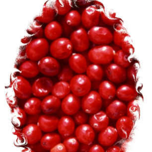 Paño De Cocina Rojo