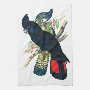 Paño De Cocina Rojo atado, Cockatoos. negros (de Banksian)
