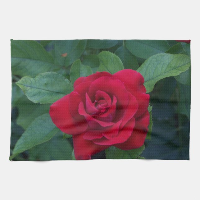Paño De Cocina Rosa Roja de Cerca (Horizontal)