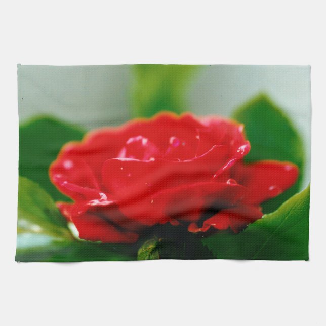 Paño De Cocina Rosa roja matutina cubierta de rocío (Horizontal)