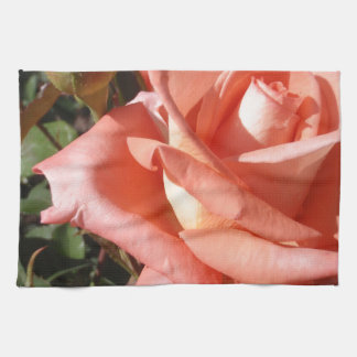 Paño De Cocina Rosa Rosa Melocotón