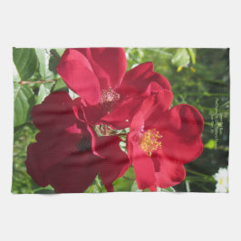 Paño De Cocina Rosas rojos simples