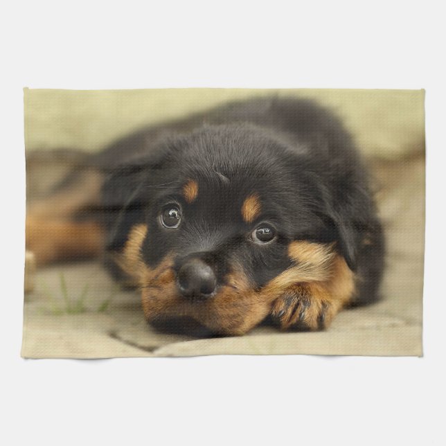 Paño De Cocina Rottweiler20150901 (Horizontal)