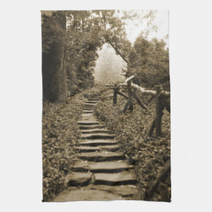 Paño De Cocina Ruta a la luz