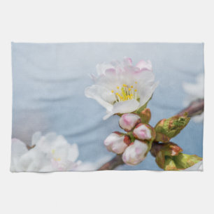 Paño De Cocina Sakura Blossom