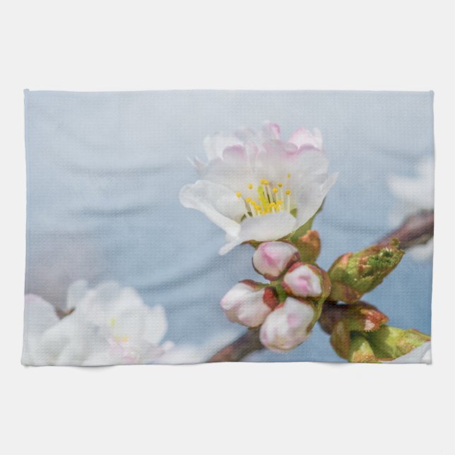 Paño De Cocina Sakura Blossom (Horizontal)