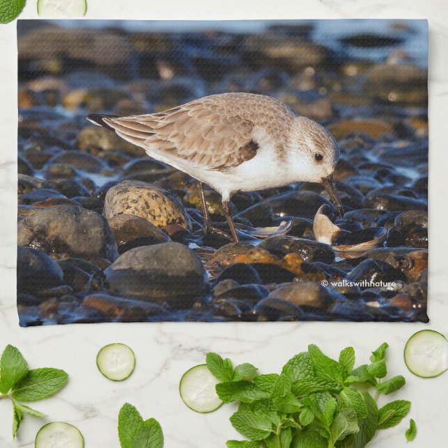 Paño De Cocina Sanderling Dines on Clam at Beach (Doblado)