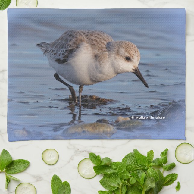 Paño De Cocina Sanderling en una playa de invierno (Doblado)