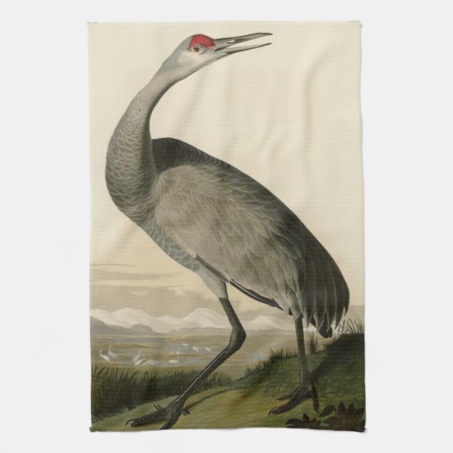 Paño De Cocina Sandhill Crane de los pájaros de América de Audubo (Vertical)