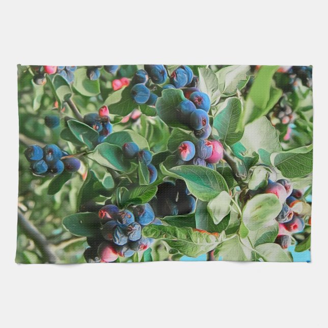 Paño De Cocina Saskatoon (Horizontal)