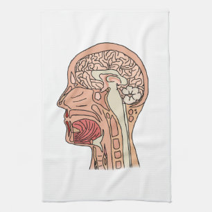 Paño De Cocina Sección transversal del cerebro midsagital