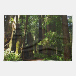 Paño De Cocina Secuoyas y ferris en el Parque Nacional Redwood