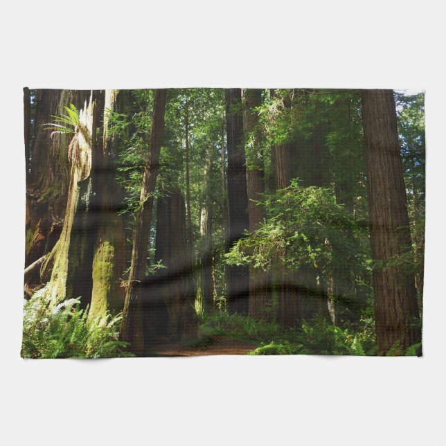 Paño De Cocina Secuoyas y ferris en el Parque Nacional Redwood (Horizontal)