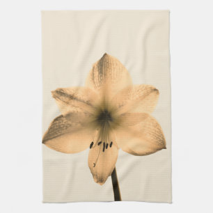 Paño De Cocina sepia amaryllis