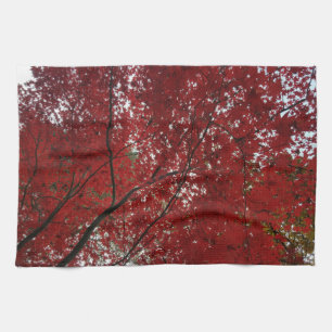 Paño De Cocina Sesión de Caída del Árbol Hojas de Otoño Rojo Marr