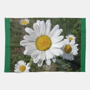 Paño De Cocina Shasta Daisy (Chrysanthemum máximo)