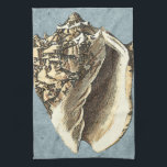 Paño De Cocina Shell de conchas encalladas<br><div class="desc">Obtén esta imagen única de la concha en tu próximo producto. Este sorprendente fondo azul con un Conch bronceado se verá genial en cualquier cosa. Llévate la playa a donde vayas.</div>