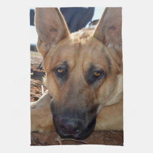 Paño De Cocina Sleepy Eyed Alsacia,