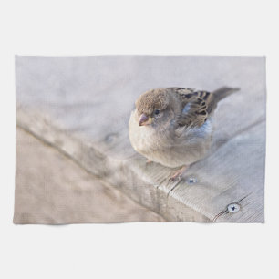 Paño De Cocina Sparrow - Sobrepeso