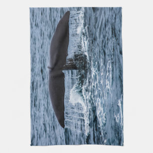 Paño De Cocina Sperm Whale