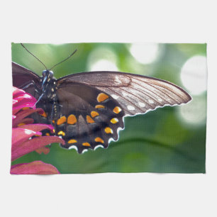 Paño De Cocina Spicebush Swallowtail
