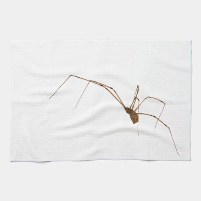 Paño De Cocina Spider (Horizontal)