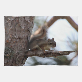 Paño De Cocina Squirrel in a Pine Tree Towel