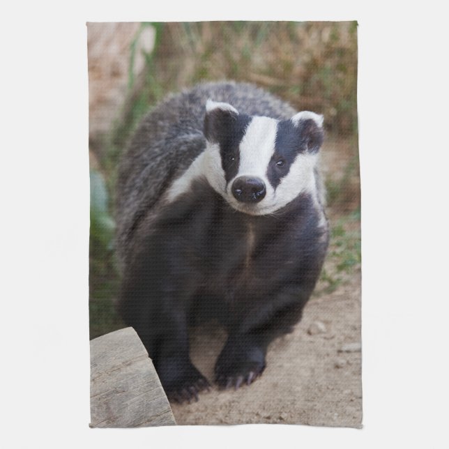 Paño De Cocina Sr. Brock Kitchen Towel (Vertical)