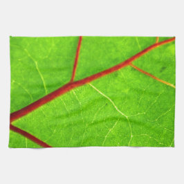 Paño De Cocina St Thomas 1