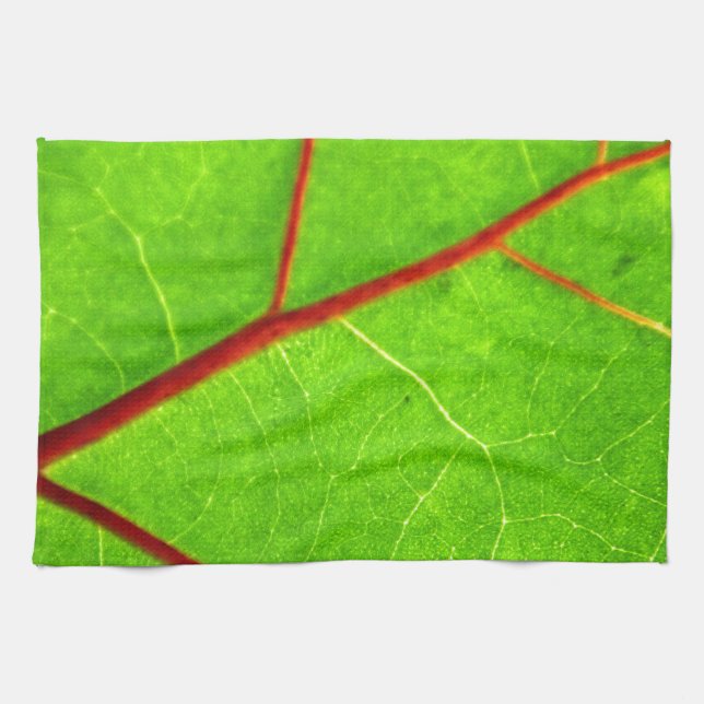 Paño De Cocina St Thomas 1 (Horizontal)