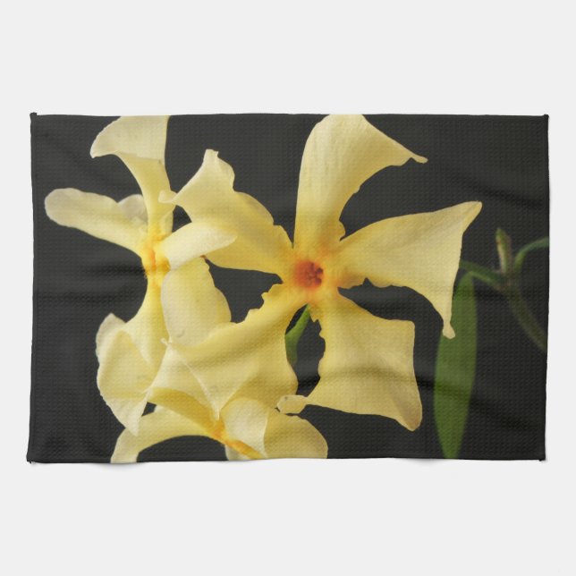 Paño De Cocina Star Jasmine Flower ktcna (Horizontal)