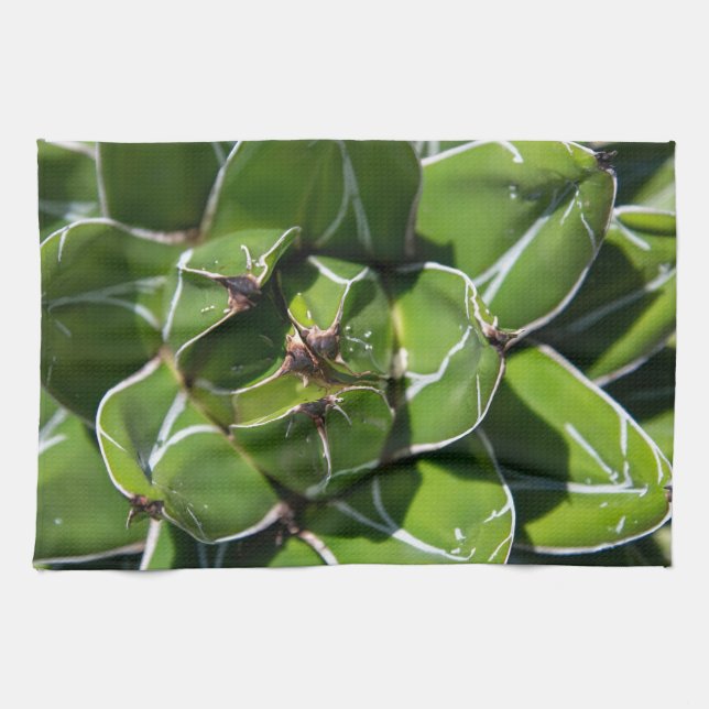 Paño De Cocina Suculenta Agave Victoria (Horizontal)