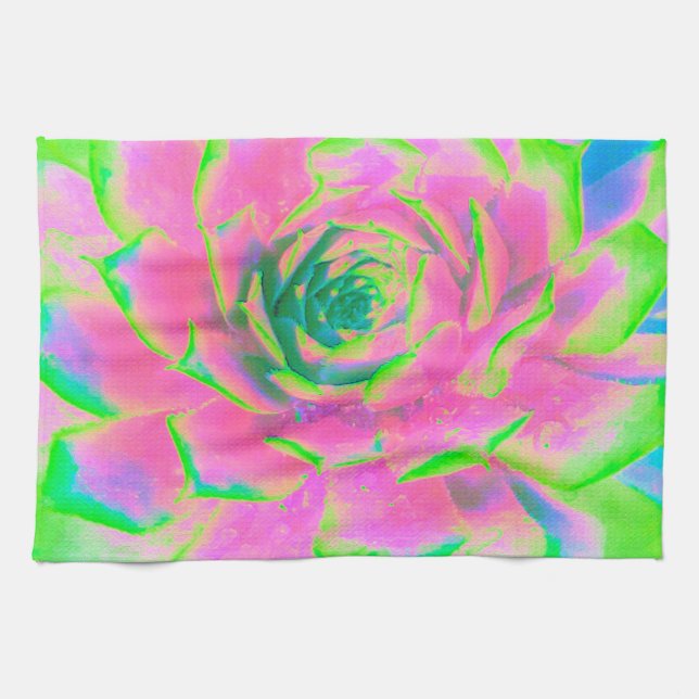 Paño De Cocina Suculento rosette de sedum verde limón y rosa (Horizontal)