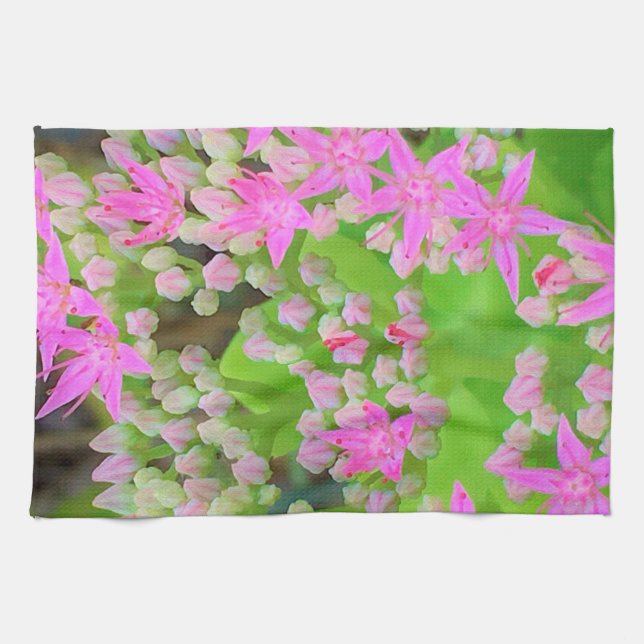 Paño De Cocina Suculento sedum rosa caliente con hojas verdes flo (Horizontal)