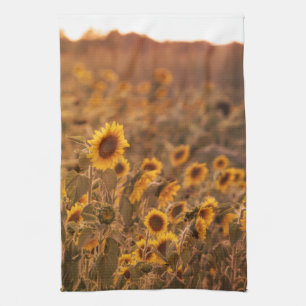 Paño De Cocina Sunflower Sunset en un color de campo rural