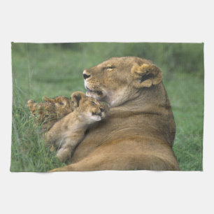 Paño De Cocina Tanzania, cráter de Ngorongoro. Madre de león afri