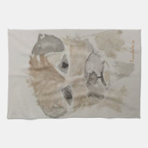 Té de la frontera territorial