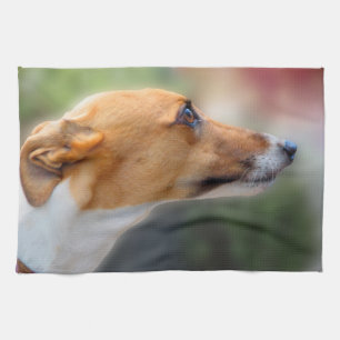 Paño De Cocina Teatowel del galgo - chica bonito P2