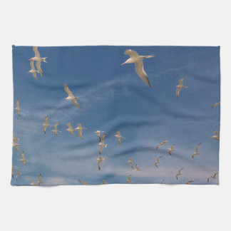 Paño De Cocina Terns Overhead