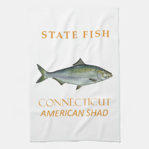 Paño De Cocina Territorio de Connecticut Pescar la Sábalo America