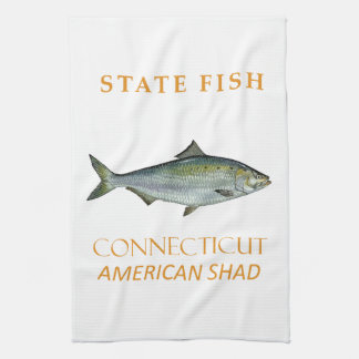 Paño De Cocina Territorio de Connecticut Pescar la Sábalo America