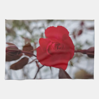 Paño De Cocina The Heart of Winter