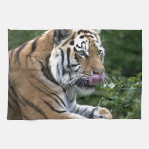 Paño De Cocina Tigre en crecimiento